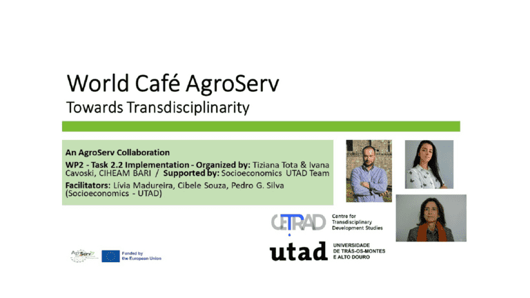 World Café – AgroServ: Towards Transdisciplinarity