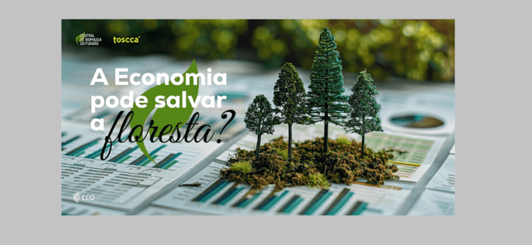 A Economia pode salvar a floresta? (Can the economy save the forest?)